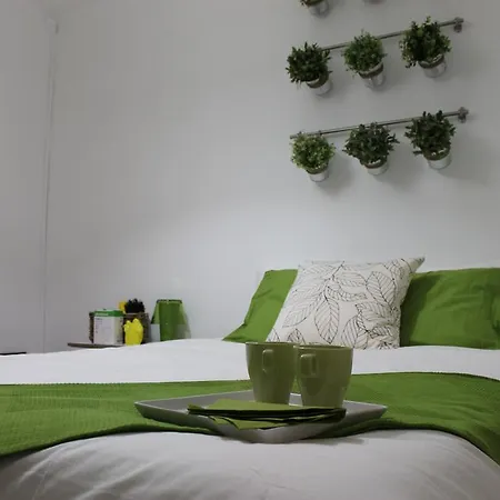 Window To Ii Лиссабон