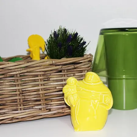 Window To Ii * Лиссабон