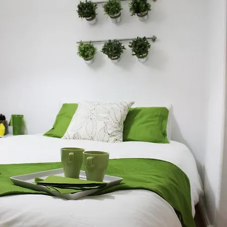 Appartement Window To Ii